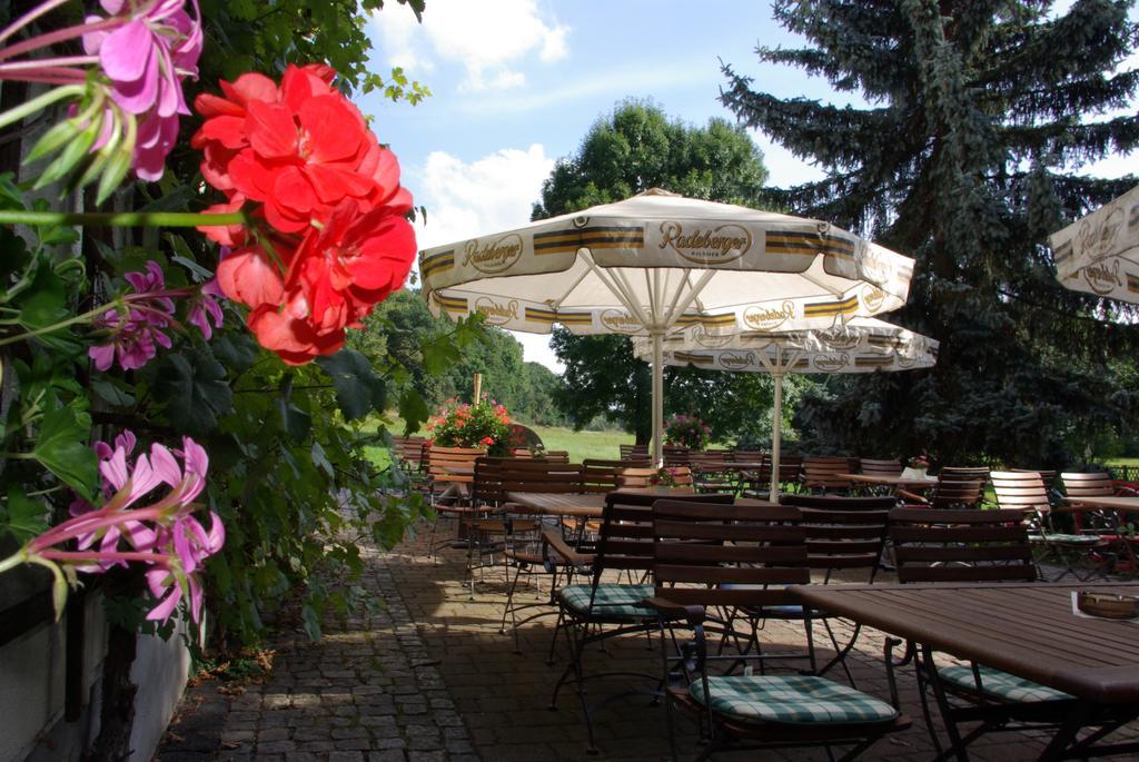 Hotel In Der Muehle Werdau Екстериор снимка